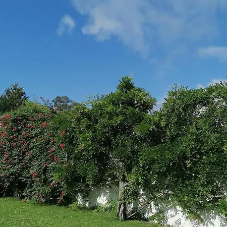 Сasa de vacaciones Casa Castanheiras