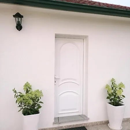 Casa Das Castanheiras *