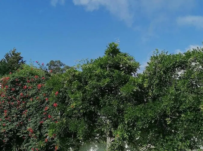 Feriehus Casa Castanheiras